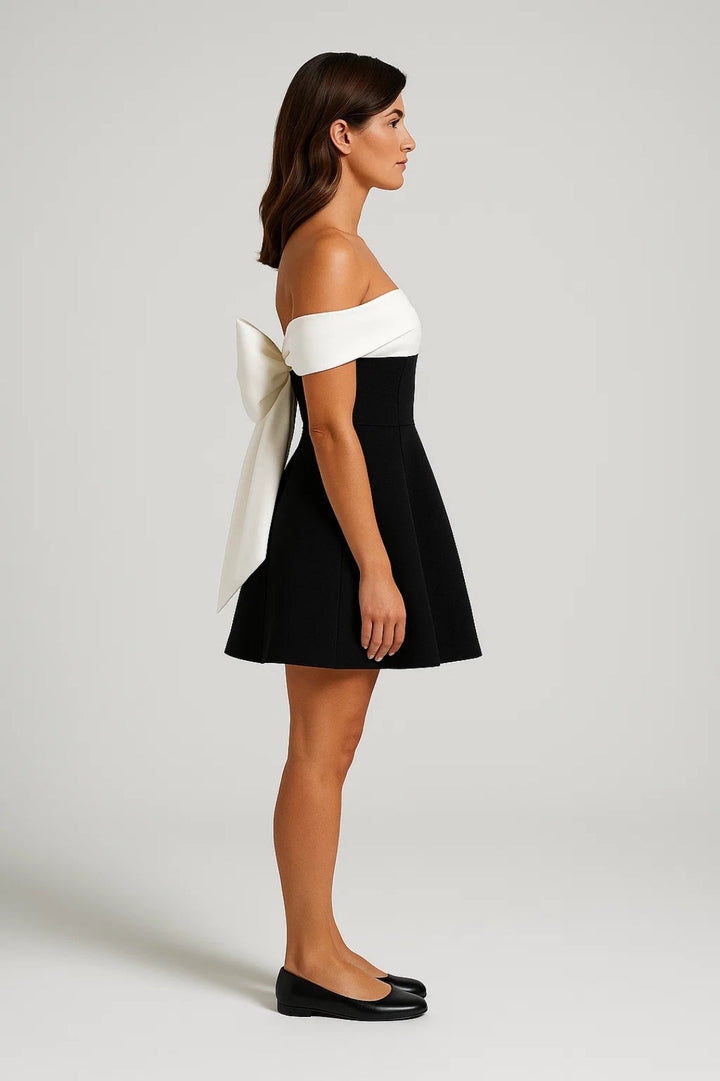 Mini Jurk Dames - Off Shoulder met Kleurblok A-lijn | Chique